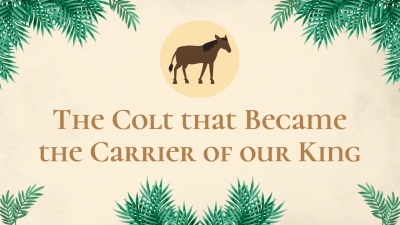 The Colt that Became the Carrier of Our King