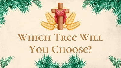 Which Tree Will You Choose?